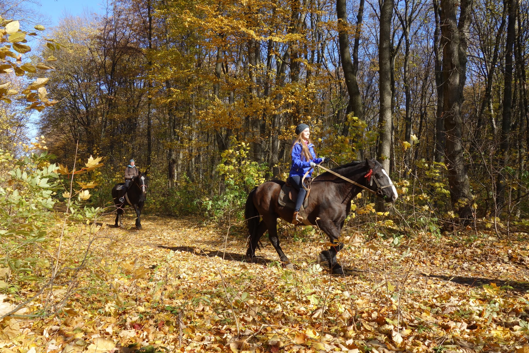 Конные прогулки на отдыхе в Карпатах осенью